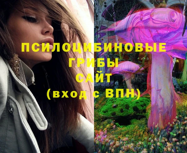 дмт Алзамай