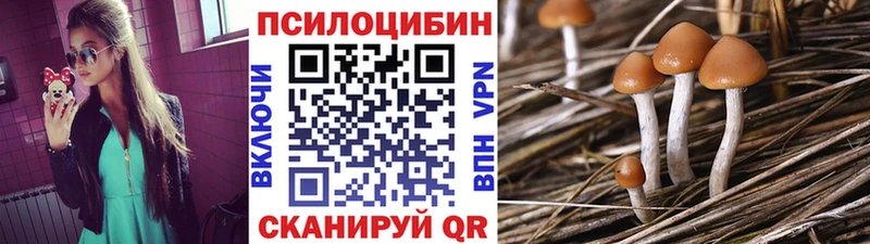 Псилоцибиновые грибы MAGIC MUSHROOMS  Ленинск 