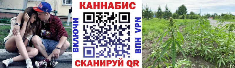 Каннабис VHQ Ленинск